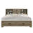 Cloe Solid Wood Bookcase Bed with Drawers-1388412236
