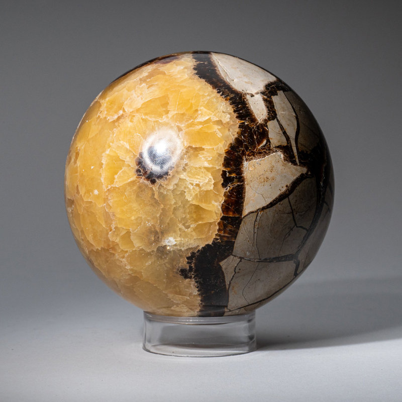 Genuine Polished Septarian (2") Sphere from Madagascar, Gray/Yellow/Brown, 3.75" H x 3.75" W x 3.75" D