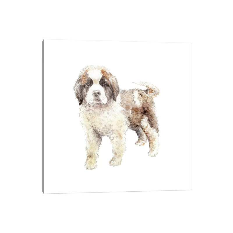 St. Bernard Puppy by Wandering Laur - Wrapped Canvas Painting, 30.48 cm H x 30.48 cm W