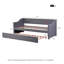 Antwerp Upholstered Daybed with Trundle-693517213