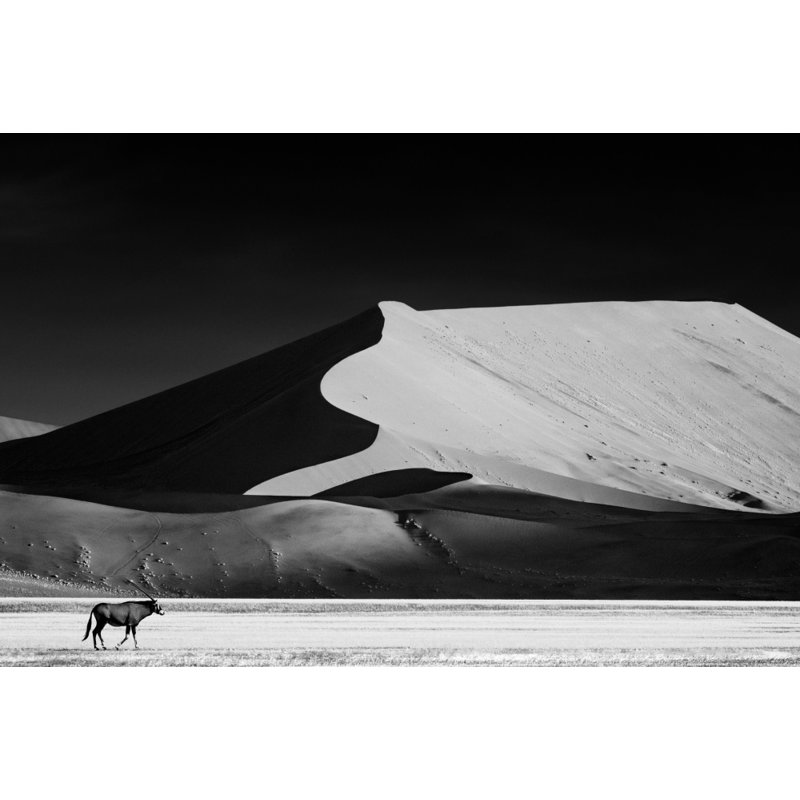 Wrapped Canvas Print, 76.2 cm H x 50.8 cm W