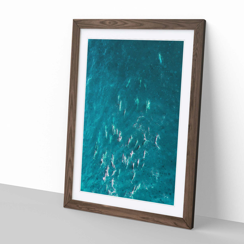 Many Dolphin in Abstract - Framed Print, 76cm H x 50cm W x 2cm D, Walnut