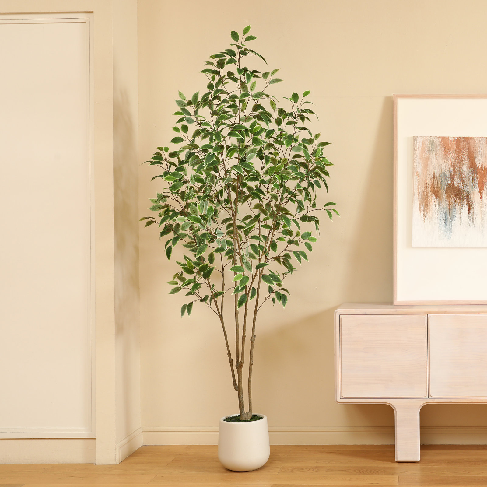 Adcock Ficus Tree in Pot, 84" H x 28" W x 28" D