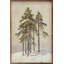Group Of Cedar Trees-891168859