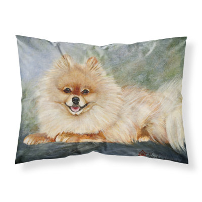 Pomeranian Microfiber