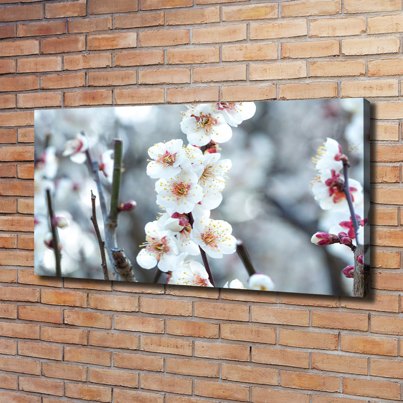 Cherry Blossoms - Wrapped Canvas Print