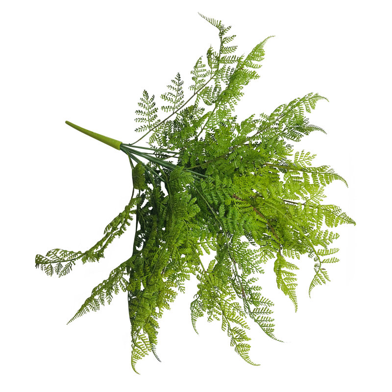 Fern Arrangement