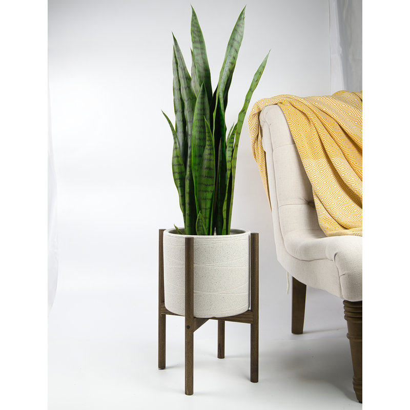 Jayzeon Handmade Pot Planter, Ivory/Dark Walnut, 8" H x 8.9" W x 8.9" D