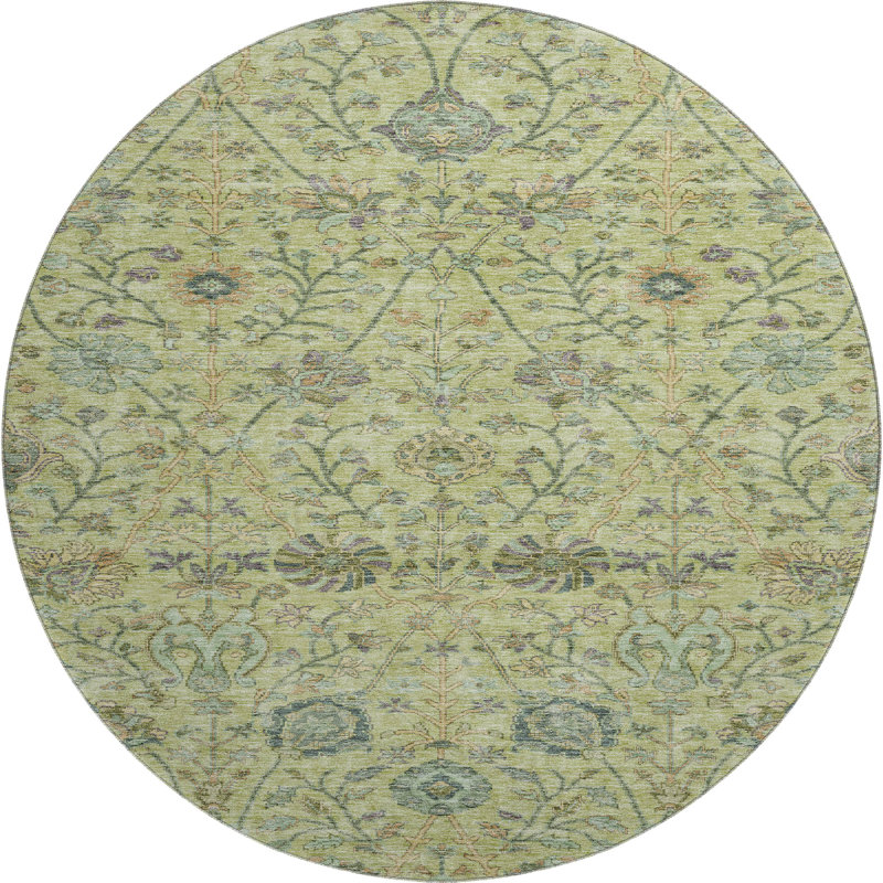 Premium Machine Washable Alexa AMF1087 Floral Rug, Round 8'