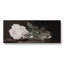 Botanical Series-CD XXXII - Toile tendue avec châssis - Prêt à accrocher-752728721