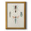 Variétés d'insectes III - Variétés d'insectes III - Reproduction-1585626012