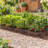 28 Pack Animal Barrier Fence, No-Dig Metal Garden Border with Anti-Digging Design