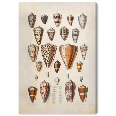 Affiche vintage sur toile Conts Cones par Art Remedy, montée sur châssis, 16 x 24 pouces