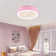 Dowitcher 22'' Ceiling Fan with LED Lights