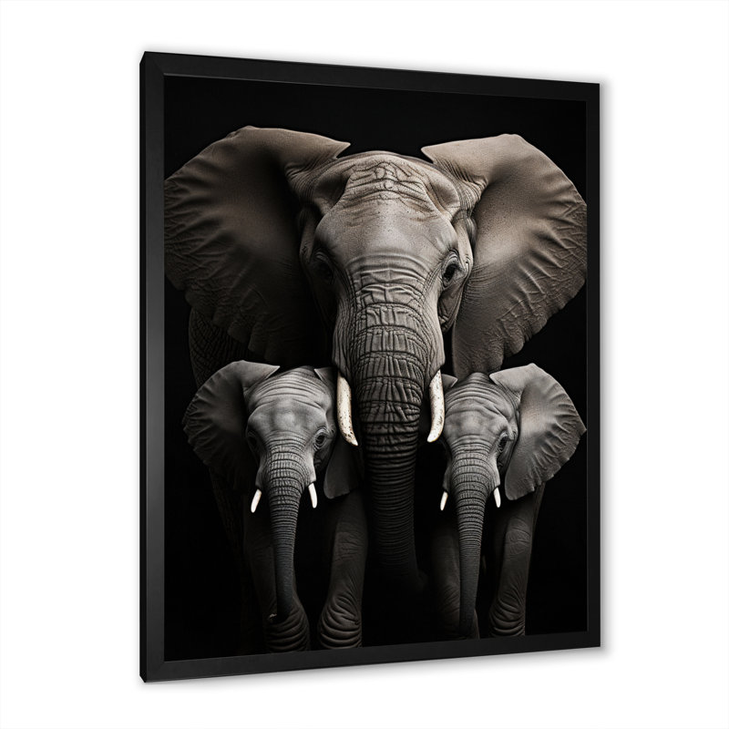 Éléphant noir et blanc Laciana, H 44 po x l 34 po x P 1,5 po, Cadre simple noir