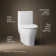 Reach™ Up 1.28 GPF Water Efficient Elongated One-Piece toilet