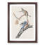 Passenger Pigeons by John Audubon - Framed Print-55578501-55578500