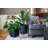 Vondia Pot Planter-1413221247-1413221242