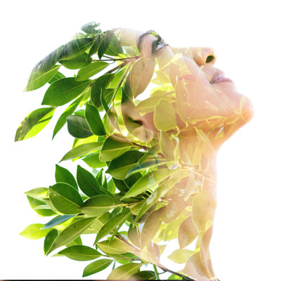 Double Exposure - Wrapped Canvas Print