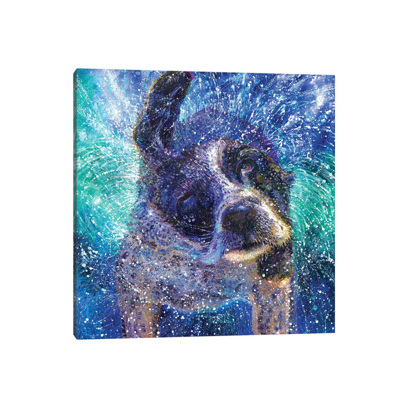 Spinning Spaniel by Iris Scott - Wrapped Canvas Print, 66.04 cm H x 66.04 cm W x 1.91 cm D