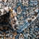 Weingartner Oriental Indoor Rug