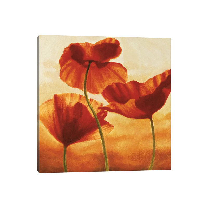 Poppies In Sunlight II by Andrea Kahn - Wrapped Canvas Print, 93.98 cm H x 93.98 cm W x 3.175 cm D