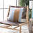Endra Chevron Throw Pillow