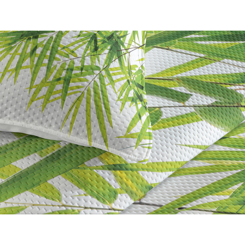 Coverlet