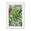 Reproduction d'art «Verdant Canopy Study» par Dollybirds-1020645226-1020645233