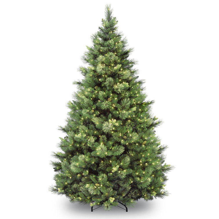 The Holiday Aisle® Carolina Pine Tree with Clear Lights