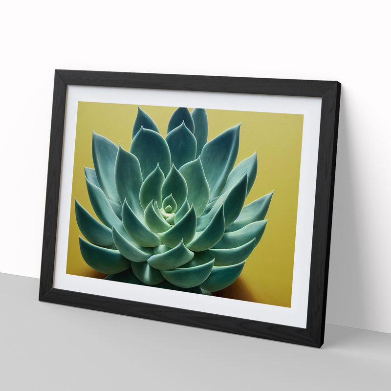 Splendorous Succulent Plant - Framed Print, Black, 46cm H x 64cm W x 2cm D