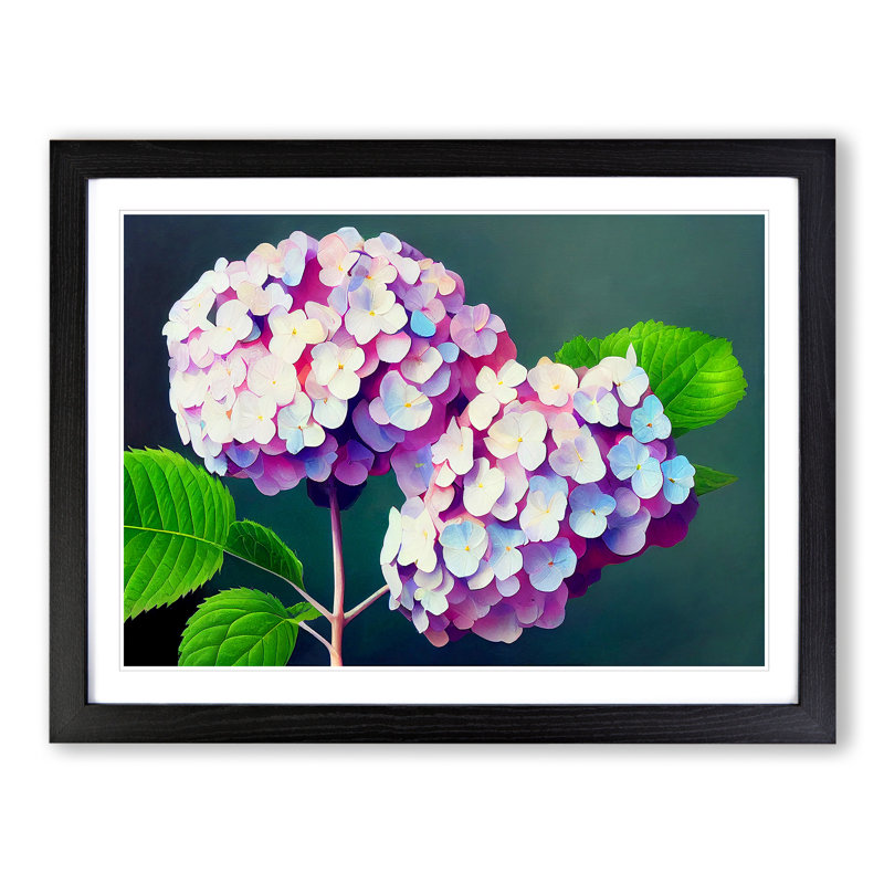 Glowing Hydrangea Flowers - Framed Print