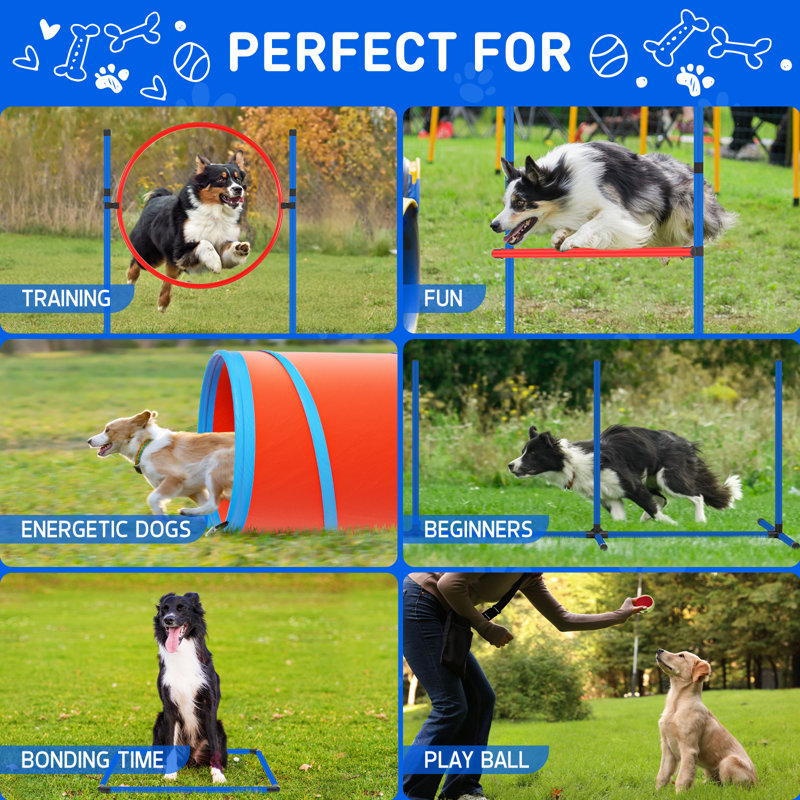 Ensemble d'équipement d'agilité pour chien, 10 pièces améliorées avec tunnel