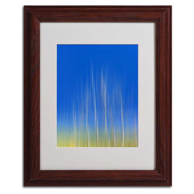 « vertical activity » par philippe sainte-laudy,, impression encadrée, H 14 po x l 11 po x P 0,5 po, Brun - Biseautée