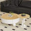Table basse moderne avec rangement minimaliste