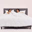 Cloud Duvet-111384824