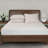 Shellson 1'' Mattress Pad-113036307