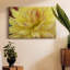 Toile tendue Blooms I-Gallery-852498184