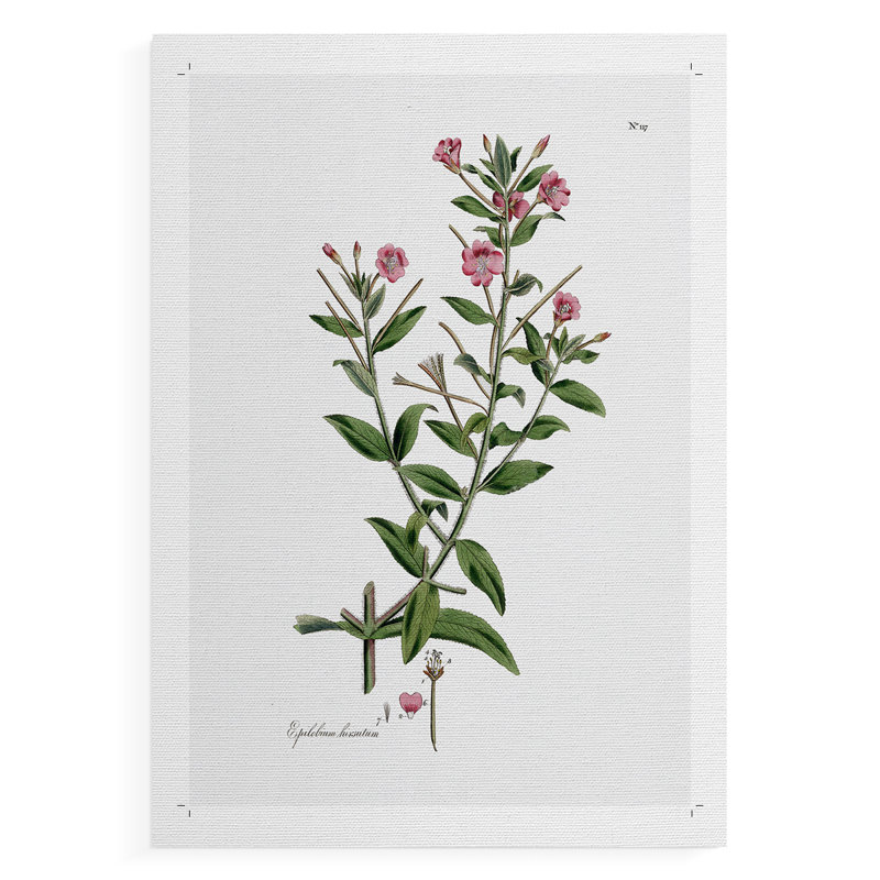 Rose Botanical III - Impression sur toile seulement - NON-CADRE, H 36 po x l 24 po