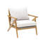Soho Lounge Chair With Cushion-1305519217
