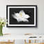 Blooming White Magnolia - Picture Frame Painting Print-56855285-56855293