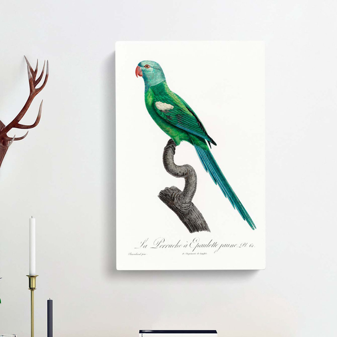 Yellow-Shouldered Amazon Macaw Parrot by F. Levaillant - Wrapped Canvas