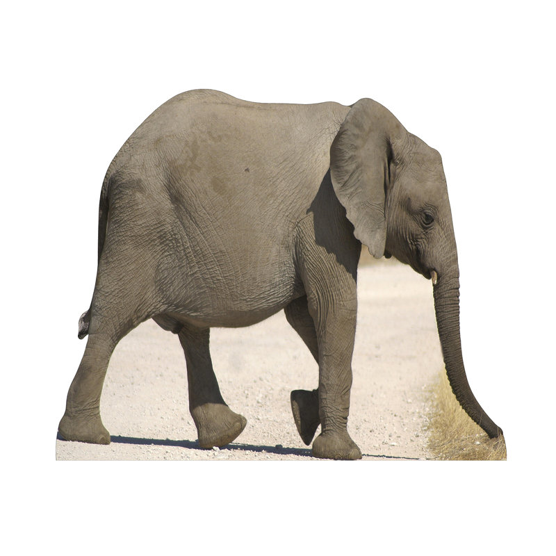 Life-Size Baby Elephant Cardboard Cutout Standup