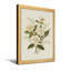 Plantes et fleurs roses blanches et muguet-705401227-705401333-705401334