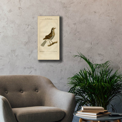 'Die Weisfdrosfel' by Art Licensing Studio Canvas Wall Art