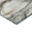 Tapis argenté intérieur / extérieur lavable à la machine Xhevrie-111925264