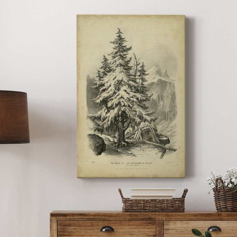 Toile tendue avec châssis The Spruce Premium - prête à être accrochée, H 60 po x l 40 po x P 1 po