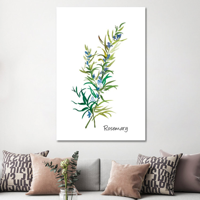 Rosemary II 1 Piece Wrapped Canvas Painting
