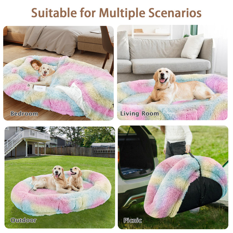Grand lit pour chien de 71 po avec oreiller moelleux, couverture, arc-en-ciel, H 12 po x l 71 po x P 45 po, Arc-en-ciel