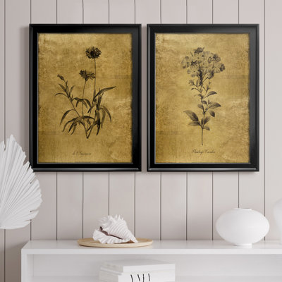Croquis d'or Botanique I - Ensemble de 2 peintures sur toiles